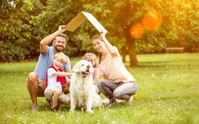 🥇🏆Grupa Liderów Kredytowych - Niezależny Ekspert w Kredytach i Leasingach Trójmiasto